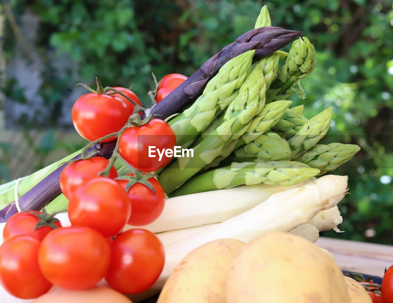 Close-up of tomatoes