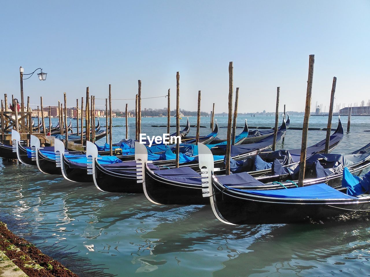 A row of empty blue gondolas in the water