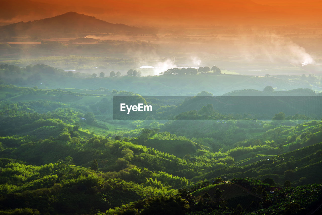 Scenic view of landscape against sky during foggy weather