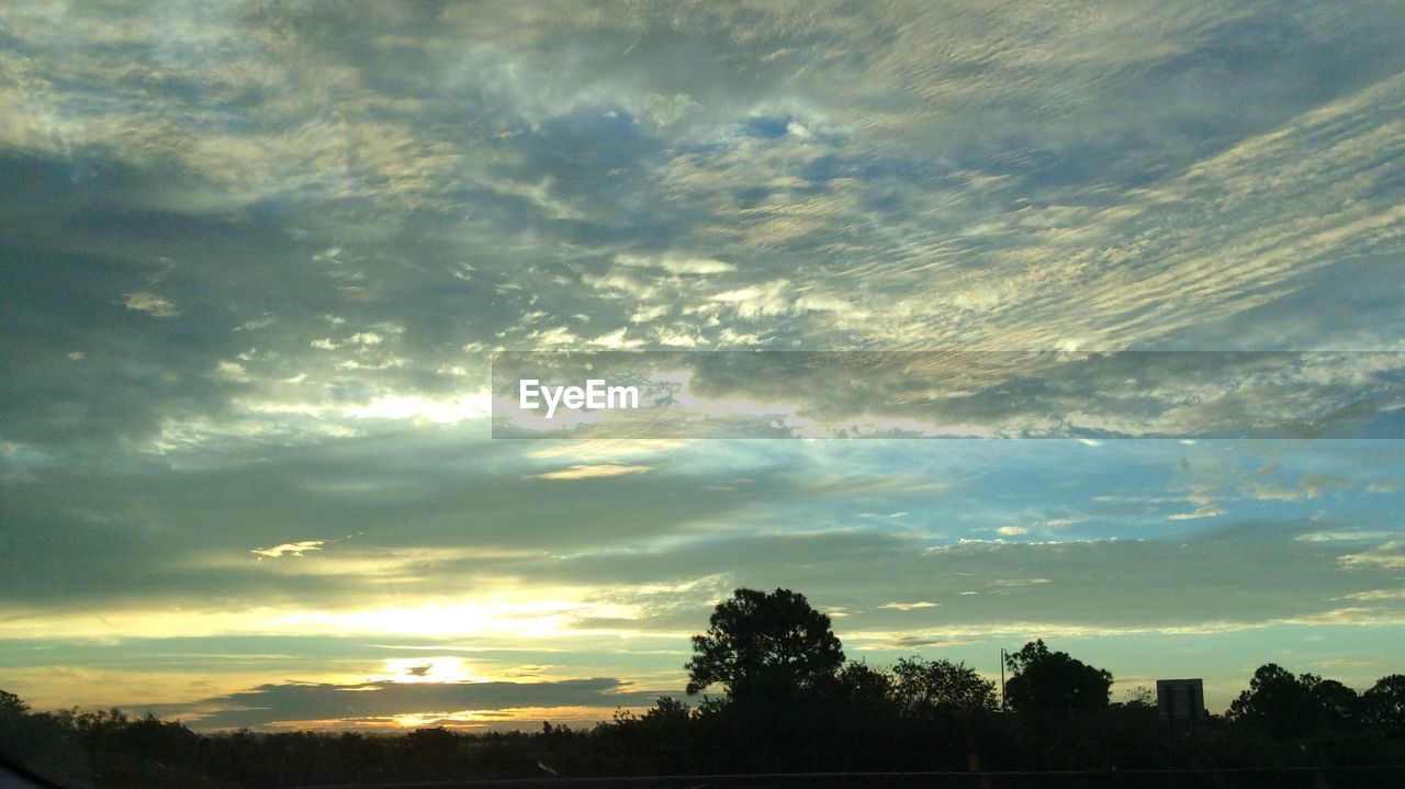 Low angle view of silhouette trees against sunset sky