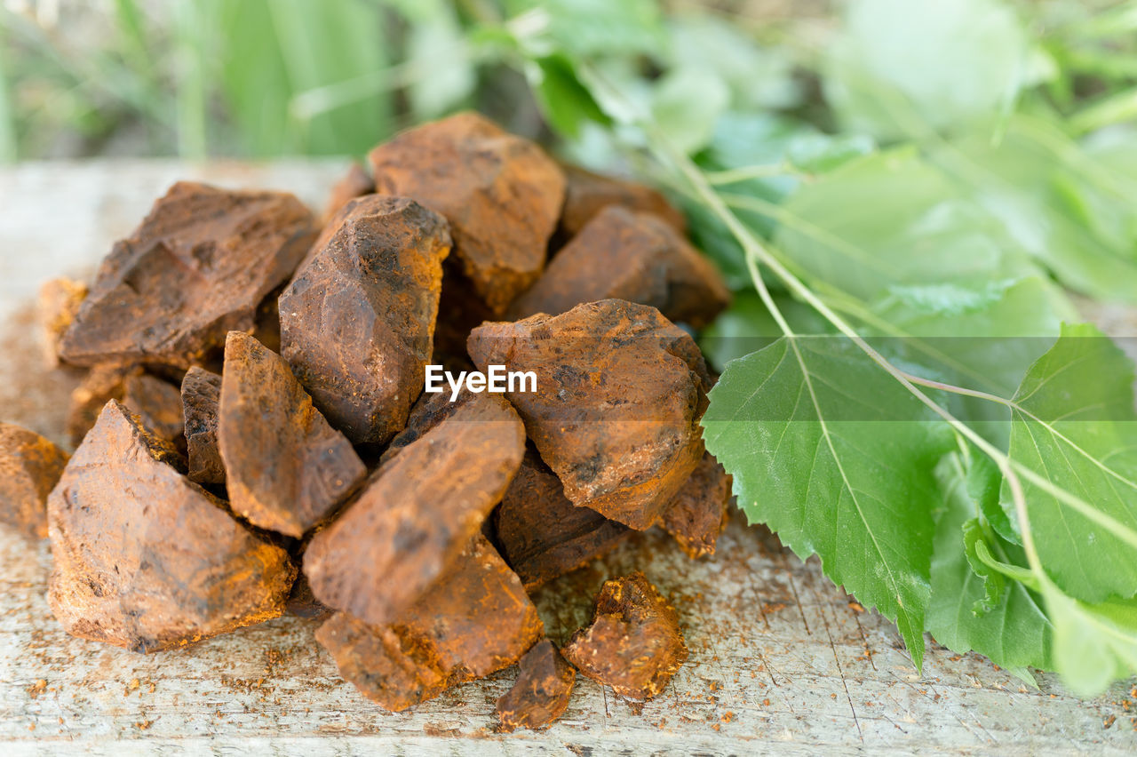 HIGH ANGLE VIEW OF LEAVES ON ROCKS