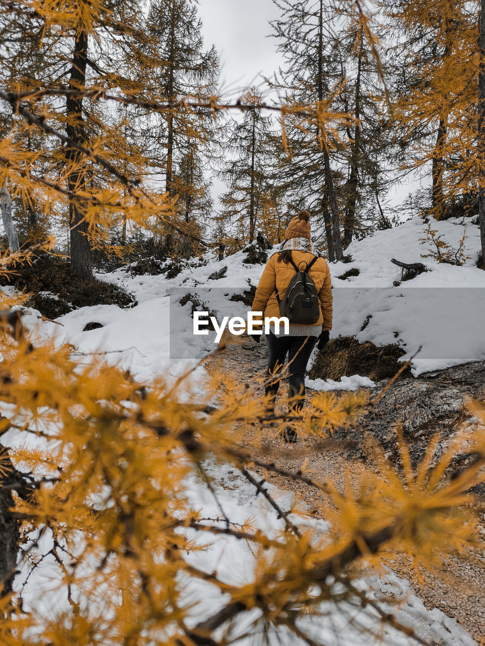 winter, tree, snow, cold temperature, autumn, wilderness, nature, plant, leisure activity, forest, land, one person, beauty in nature, men, hiking, adult, leaf, footwear, warm clothing, day, full length, clothing, mountain, activity, scenics - nature, adventure, environment, outdoors, pinaceae, coniferous tree, lifestyles, walking, non-urban scene, pine tree, person, travel, holiday, pine woodland, backpack, sports, landscape, vacation, trip, woodland, sky, tranquility, standing, rear view, young adult, tranquil scene