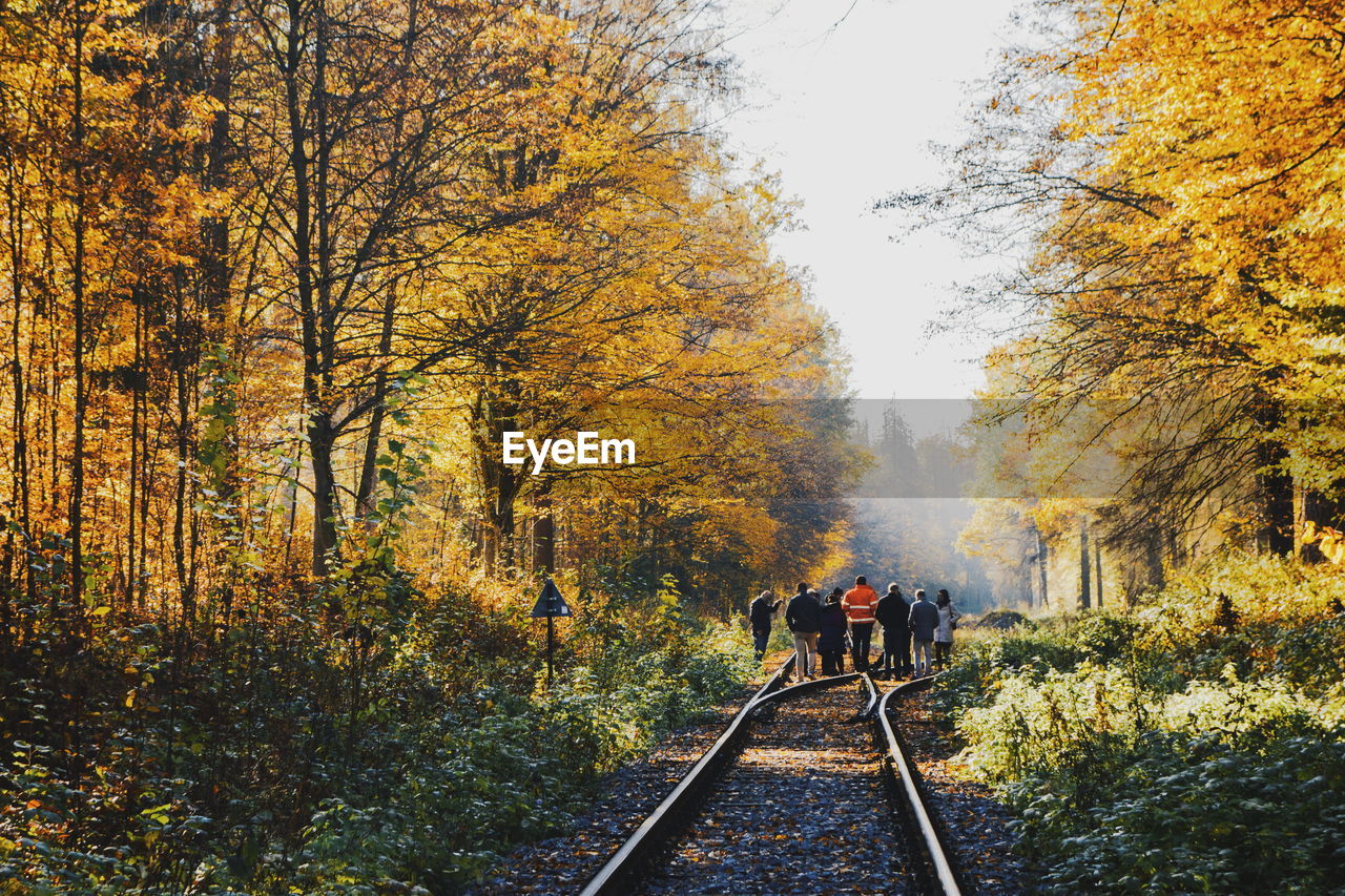 Rear view of people walking amidst trees on railroad track during autumn