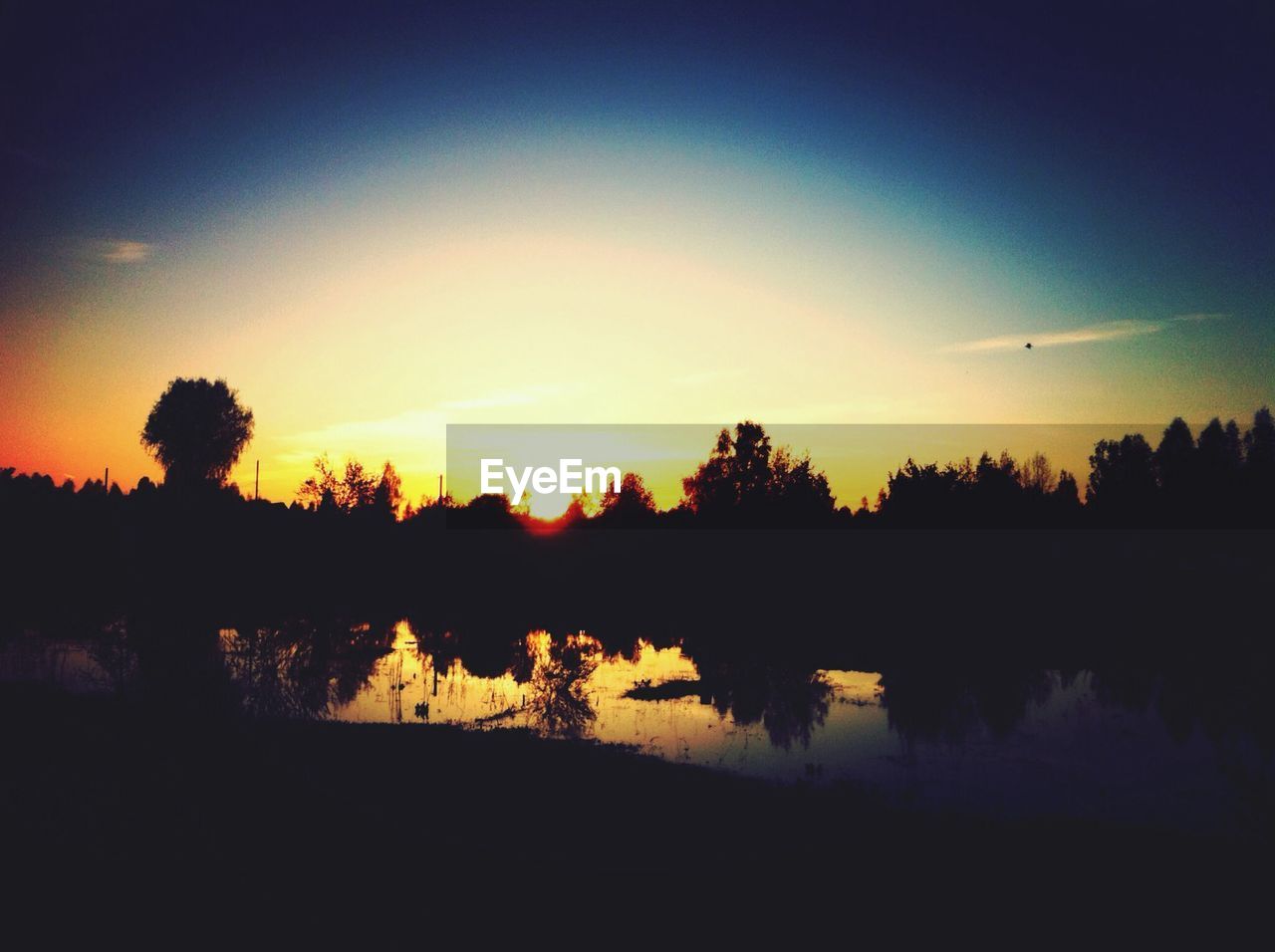 Silhouette of trees on lakeside at sunrise