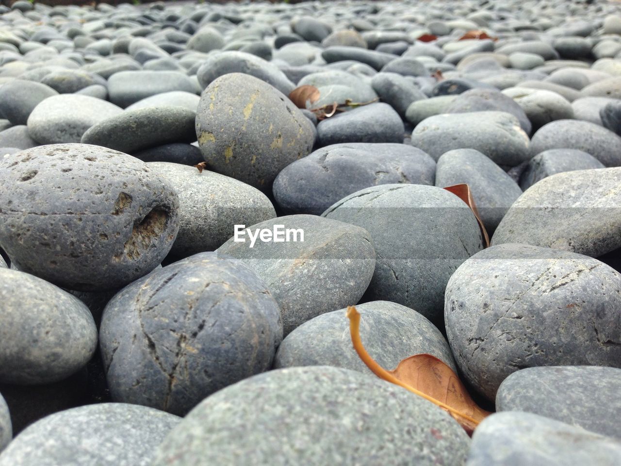 CLOSE-UP OF PEBBLES