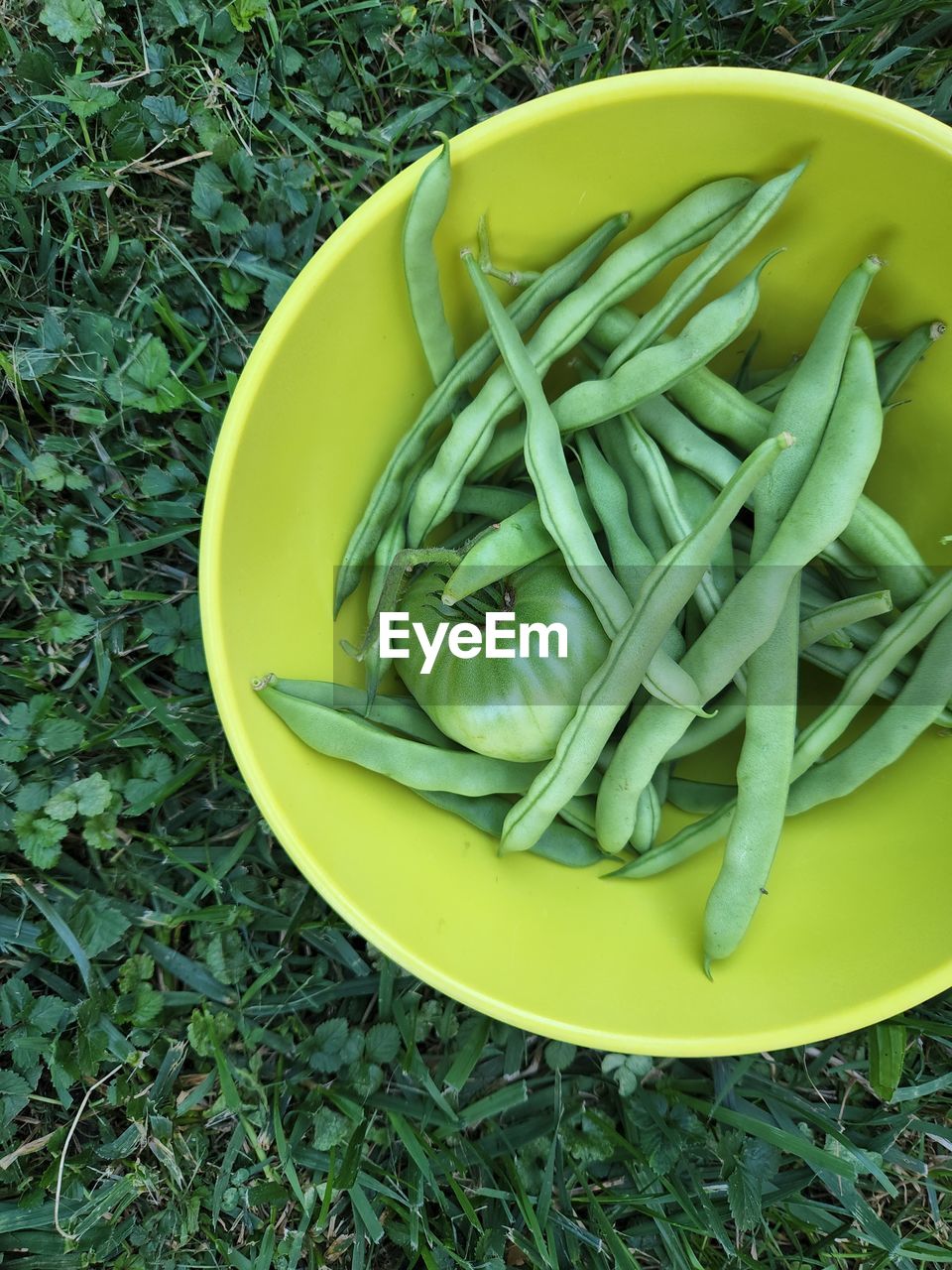 High angle view of food in plate