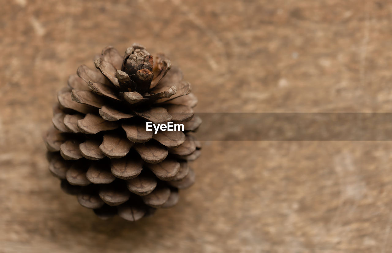 HIGH ANGLE VIEW OF PINE CONES ON TABLE