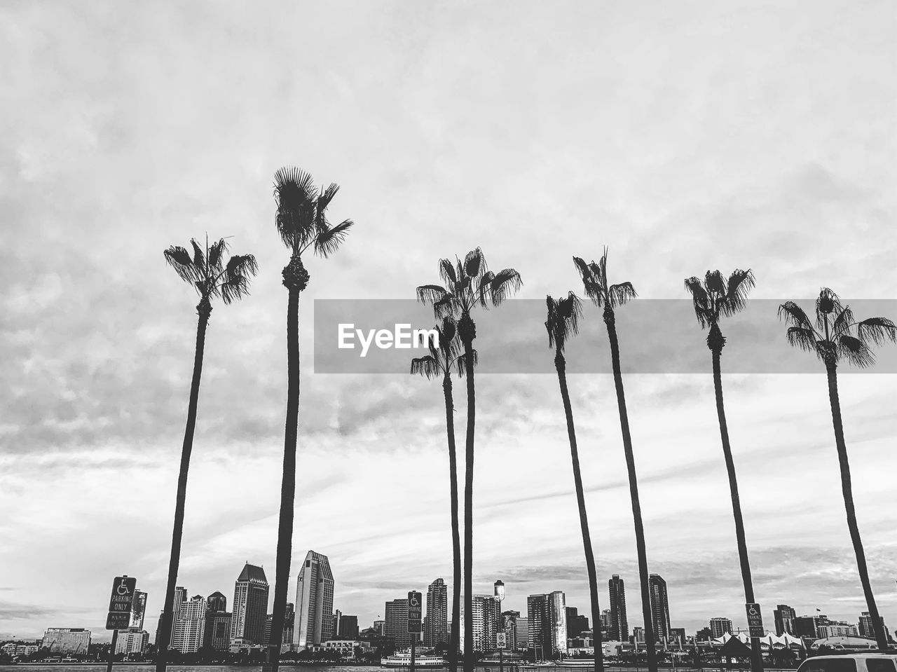 Low angel view of palm trees and buildings against sky