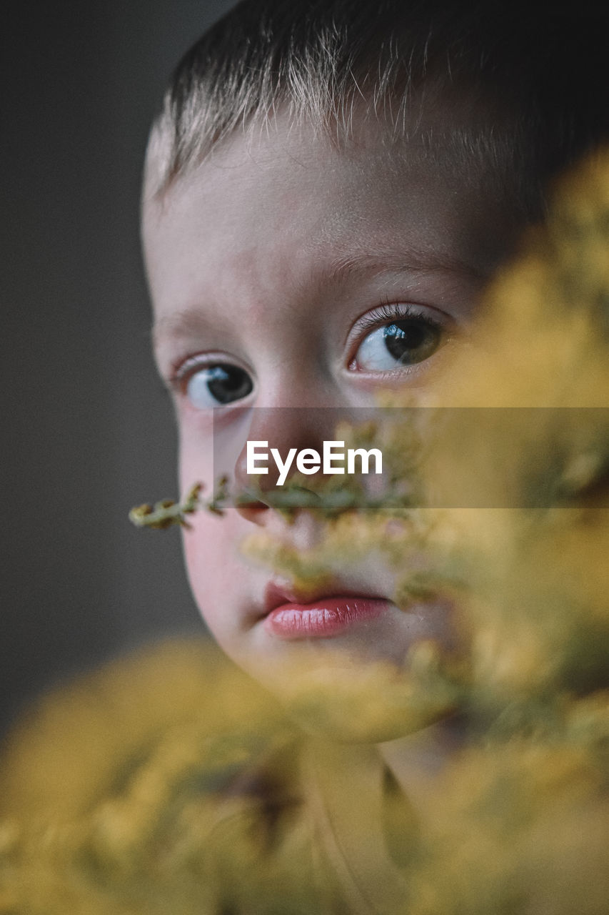 Close-up portrait of cute boy