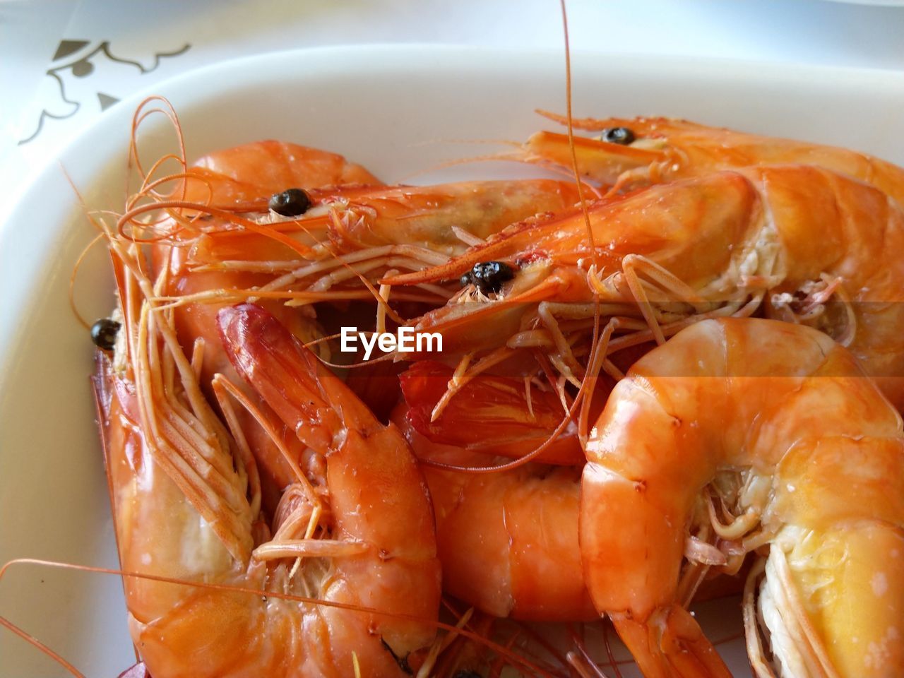 High angle view of shrimp in plate