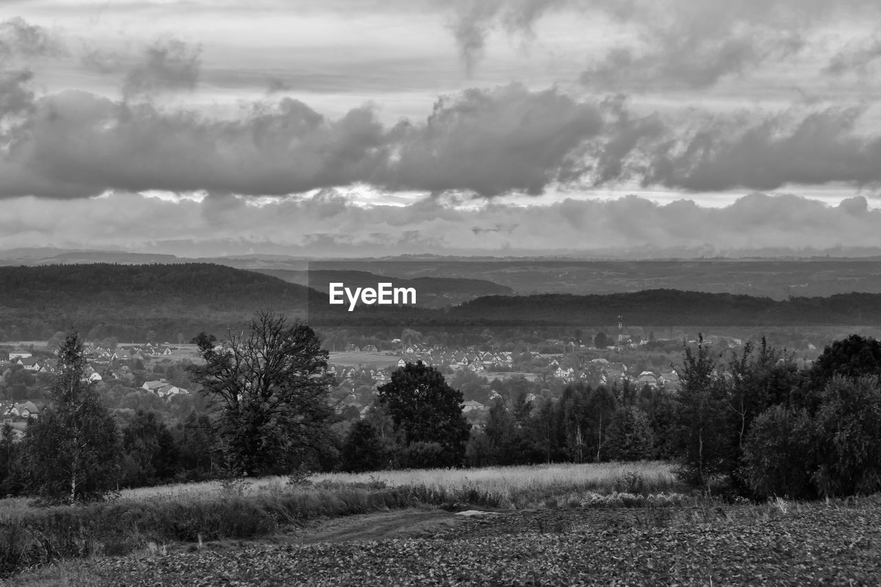 Scenic view of trees on field against sky