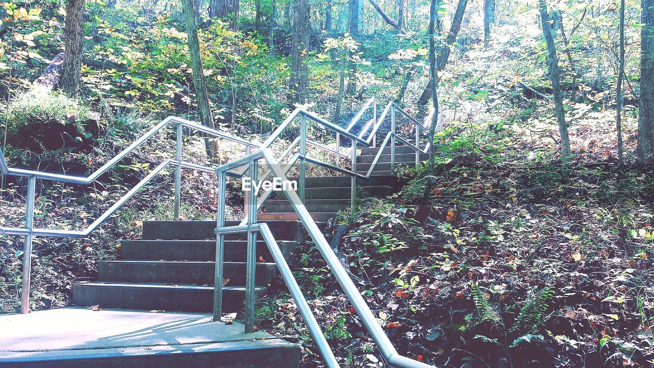 Staircase in forest