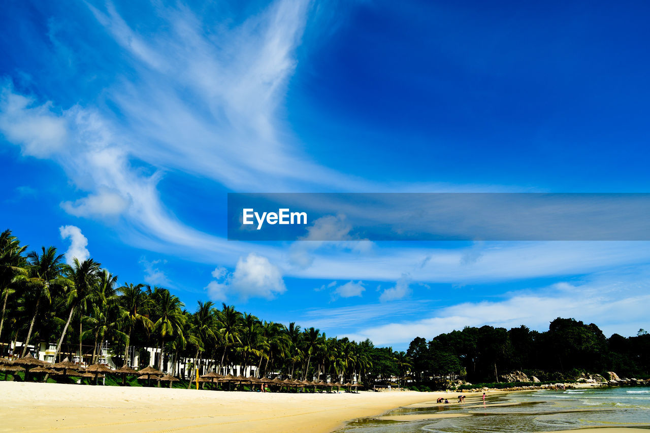 Scenic view of beach against blue sky