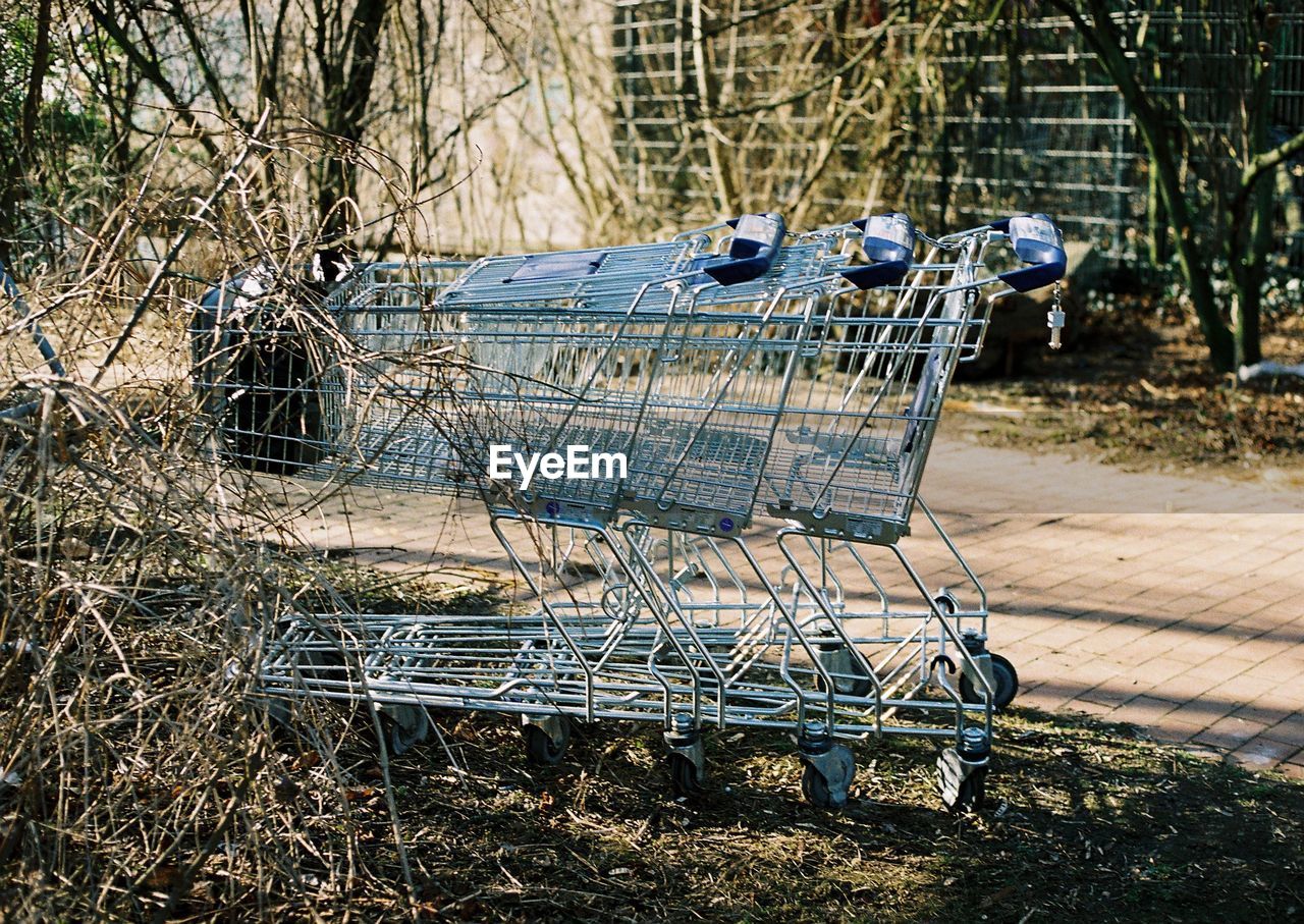 Three shopping carts in bushes