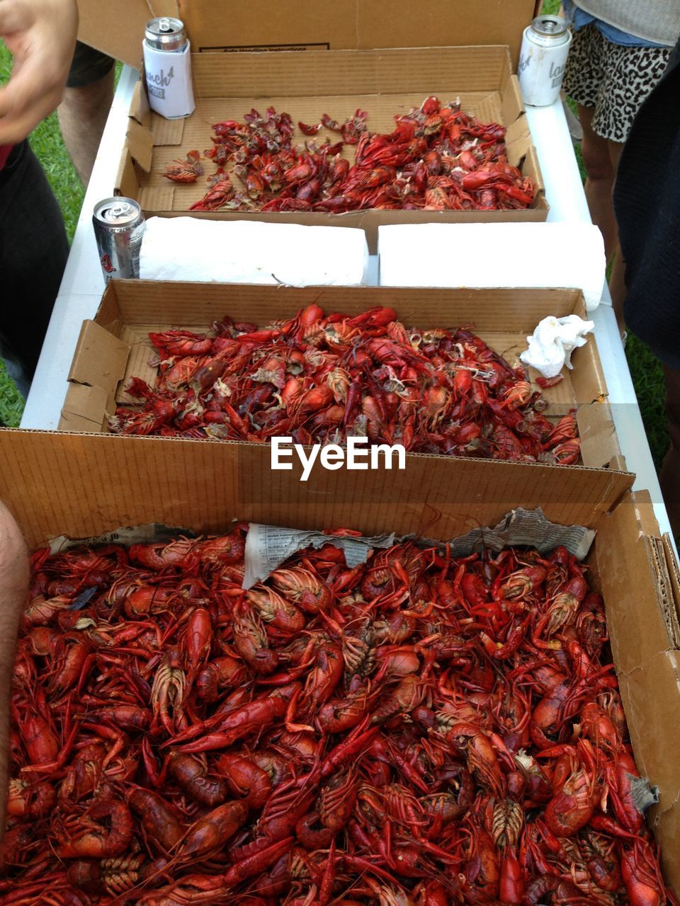 High angle view of red crabs for sale