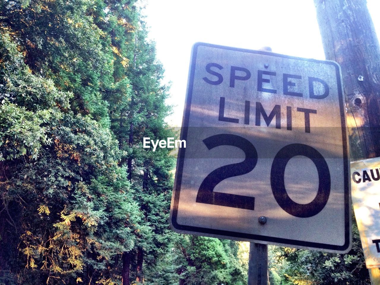 Close up of speed limit sign