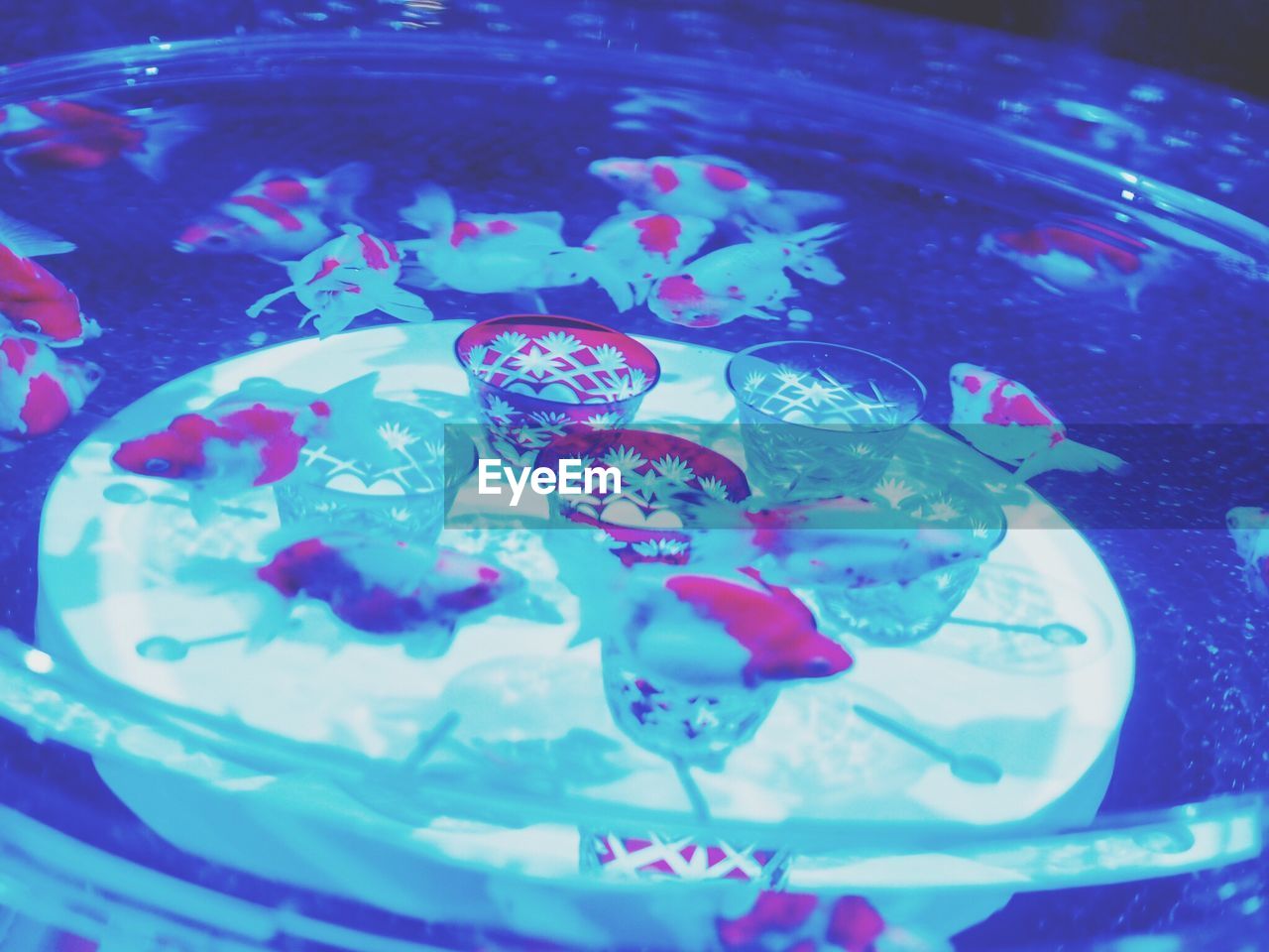 CLOSE-UP OF WATER IN BLUE CONTAINER