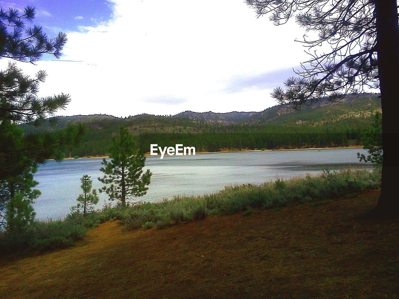 SCENIC VIEW OF LAKE AGAINST TREES