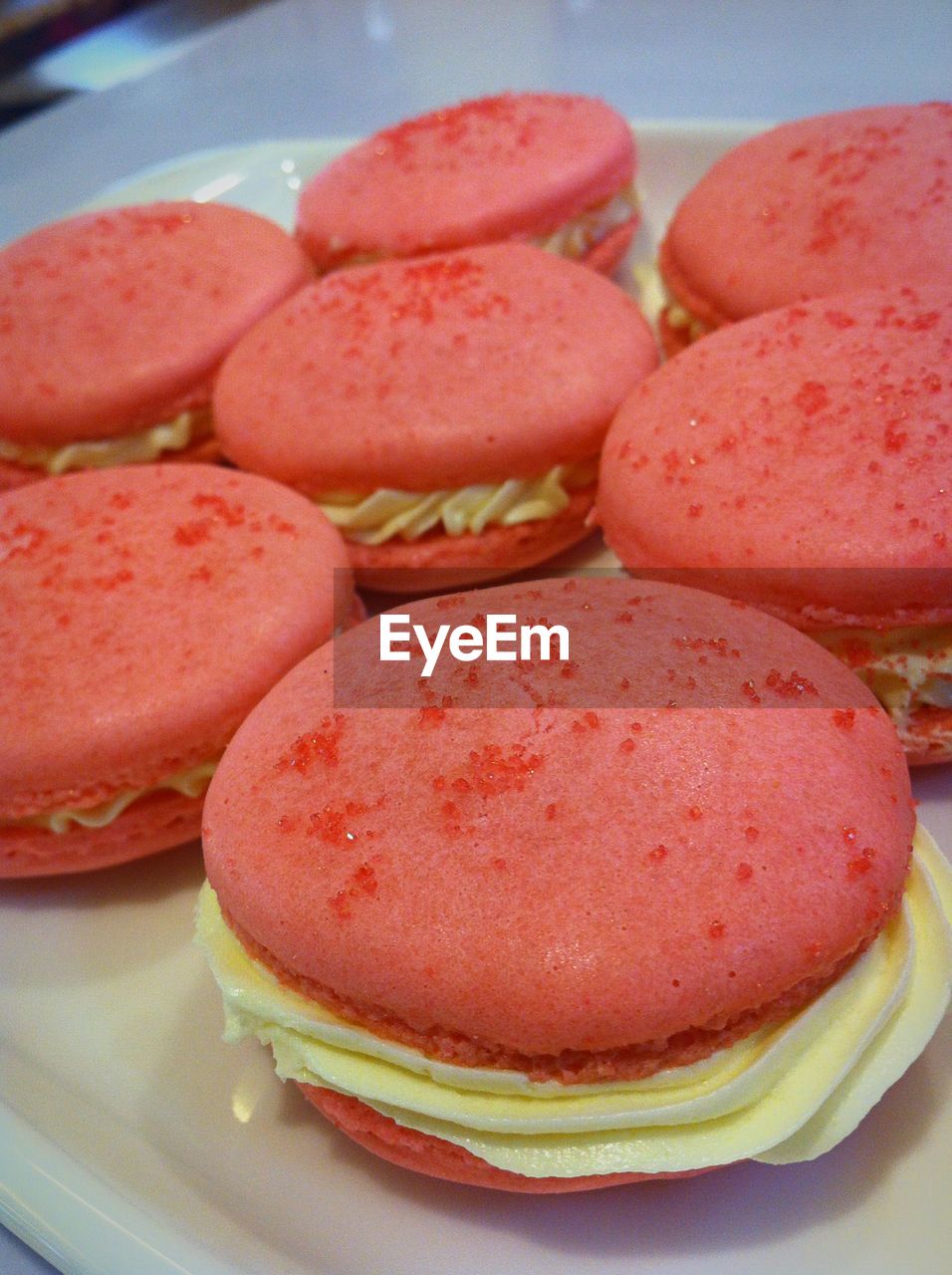 Close-up of dessert in plate