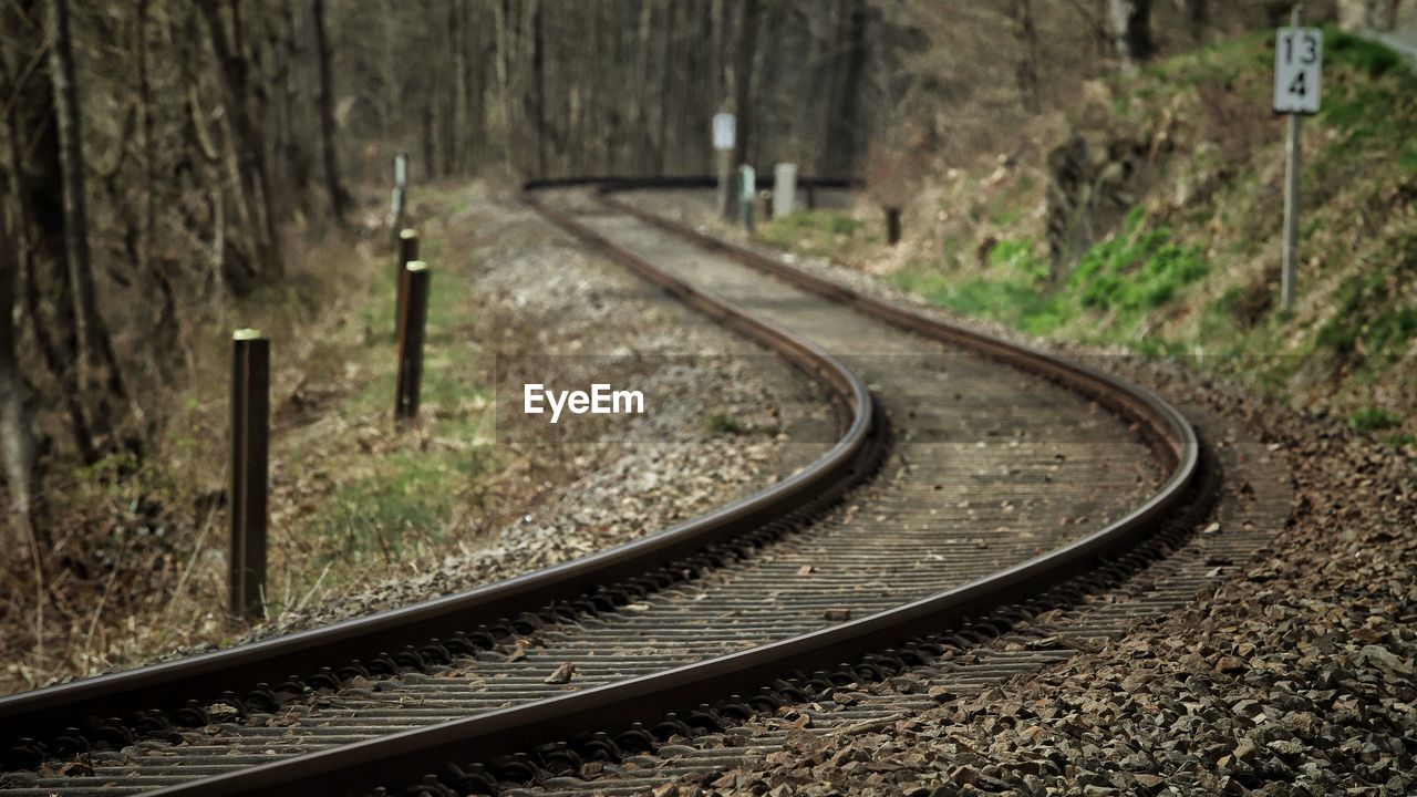 RAILROAD TRACK IN FOREST