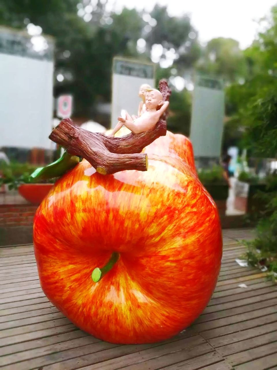 CLOSE-UP OF PUMPKIN ON TREE