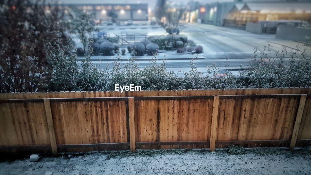 VIEW OF SNOW COVERED PLANTS BY RAILING