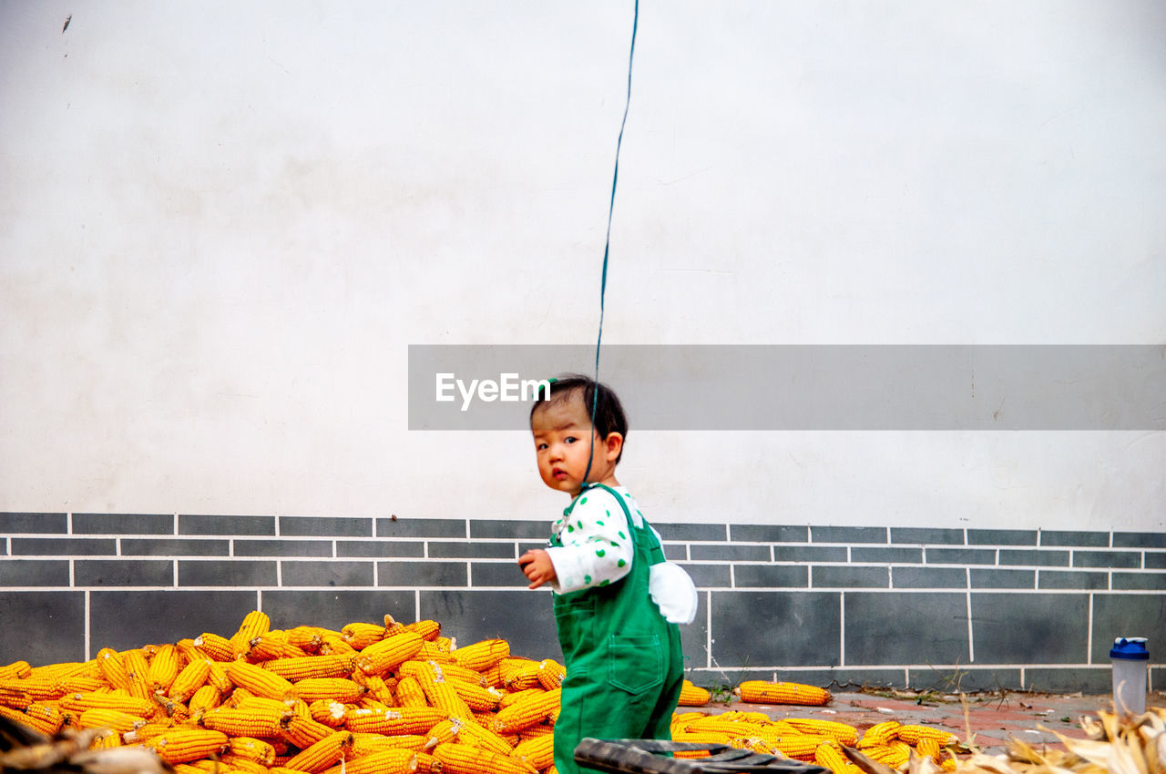 Portrait of cute baby girl standing by corns against wall