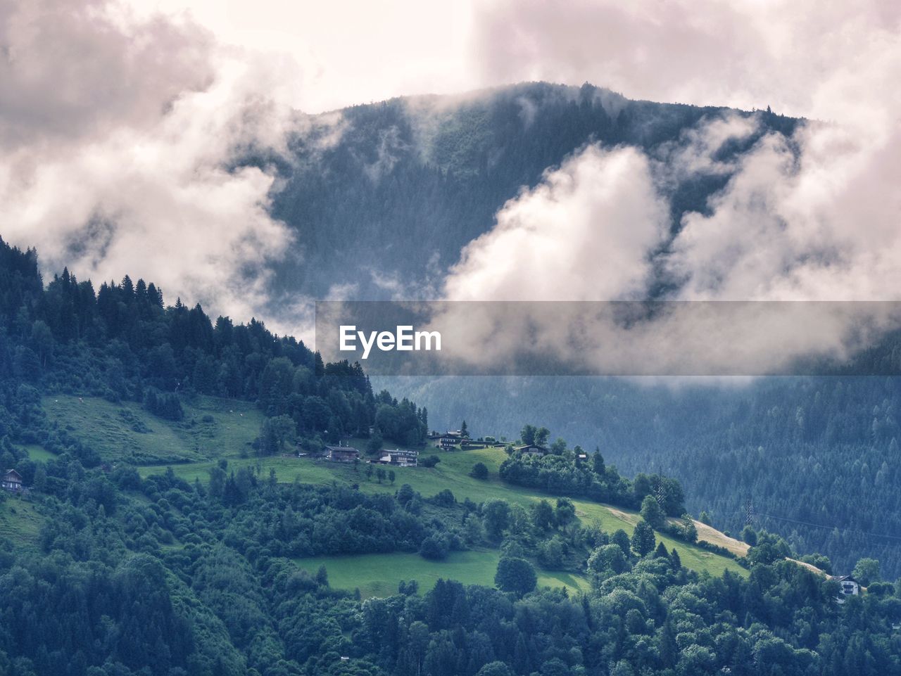 SCENIC VIEW OF TREES ON LAND AGAINST SKY