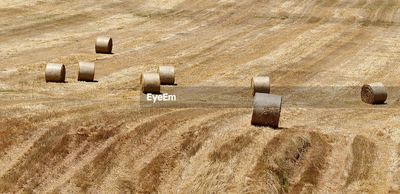 HAY BALES ON FIELD BY LAND
