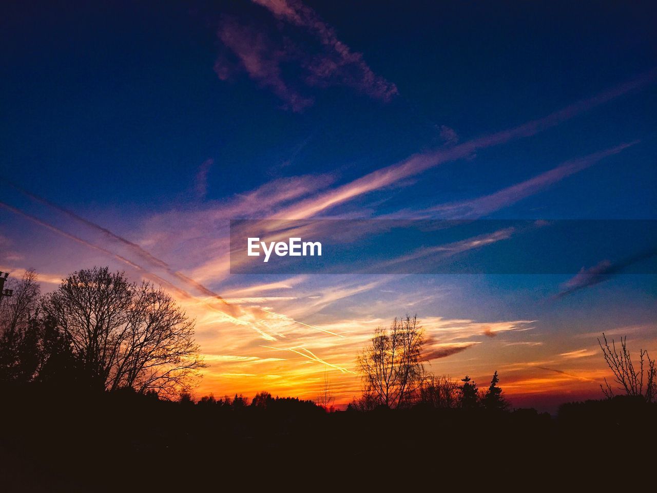 LOW ANGLE VIEW OF SILHOUETTE TREES AGAINST SKY