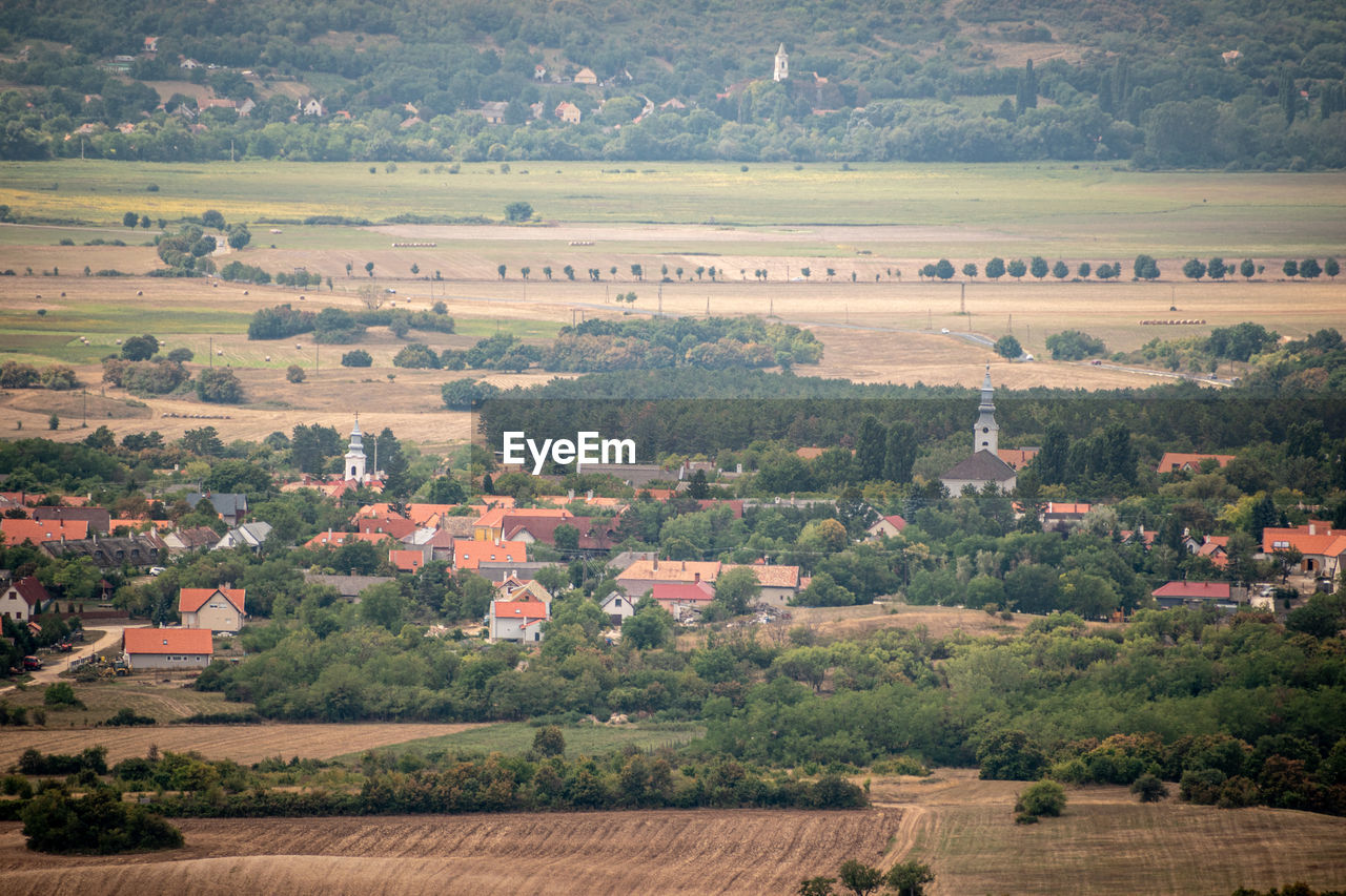 High angle view of trees on field