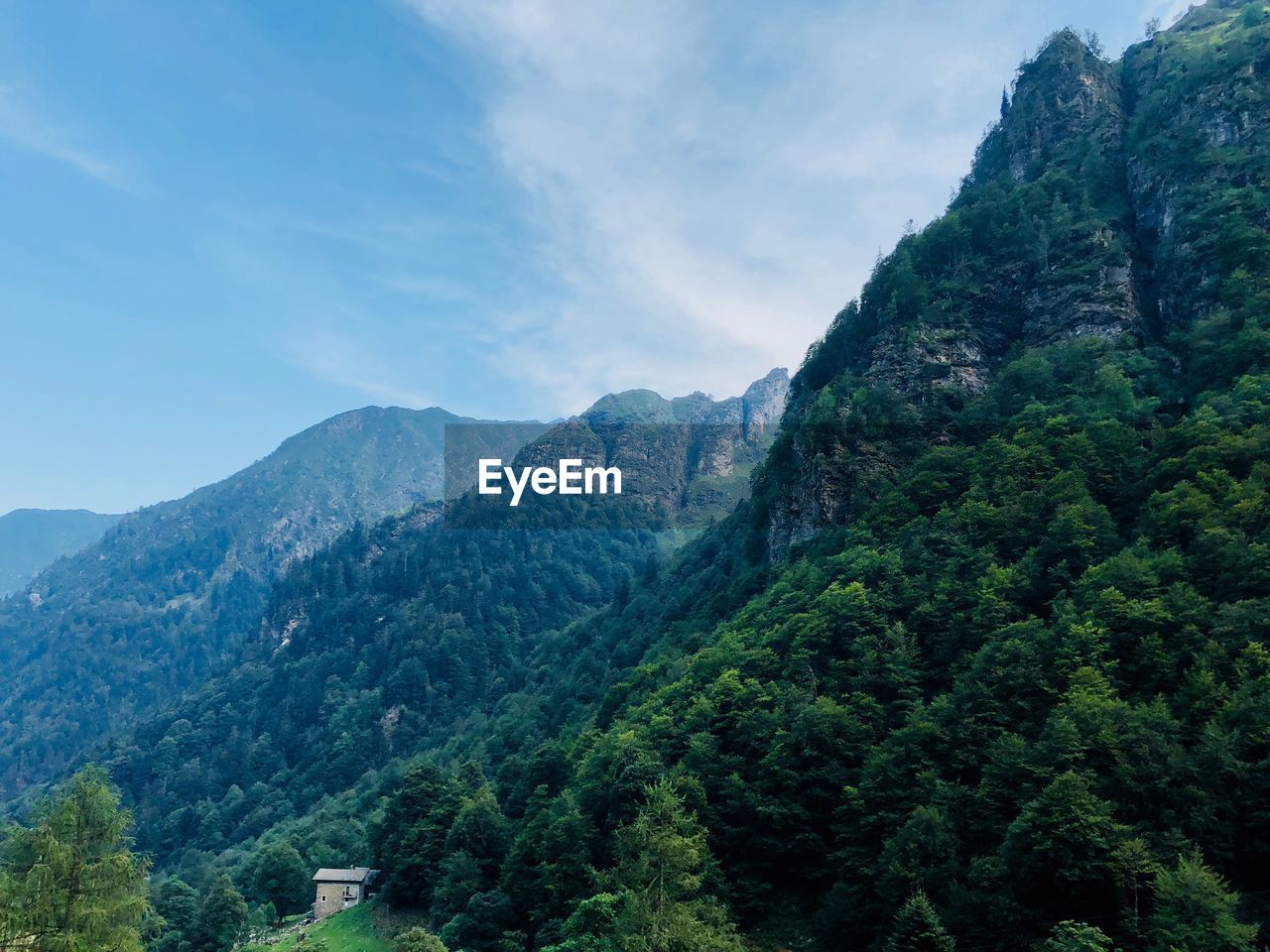 SCENIC VIEW OF TREE MOUNTAINS AGAINST SKY