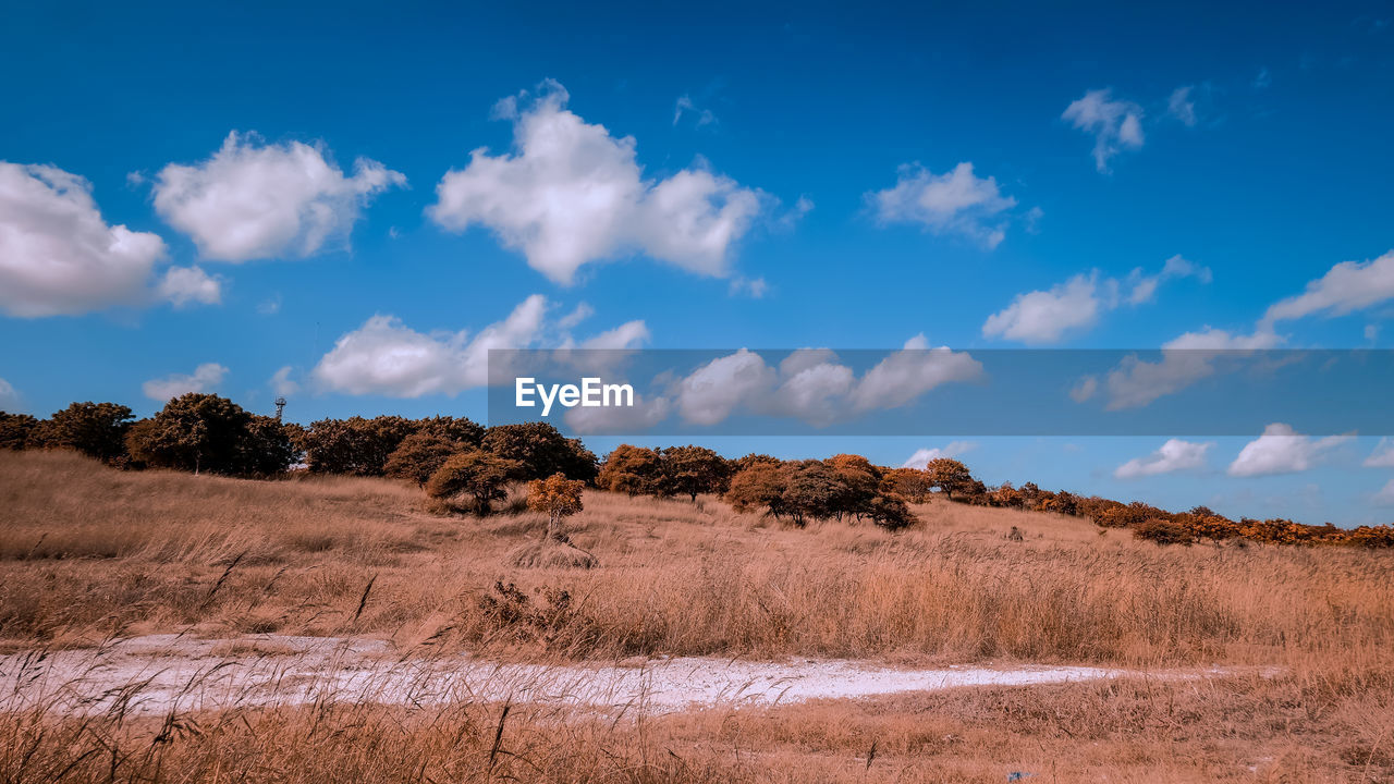 SCENIC VIEW OF LAND AGAINST SKY