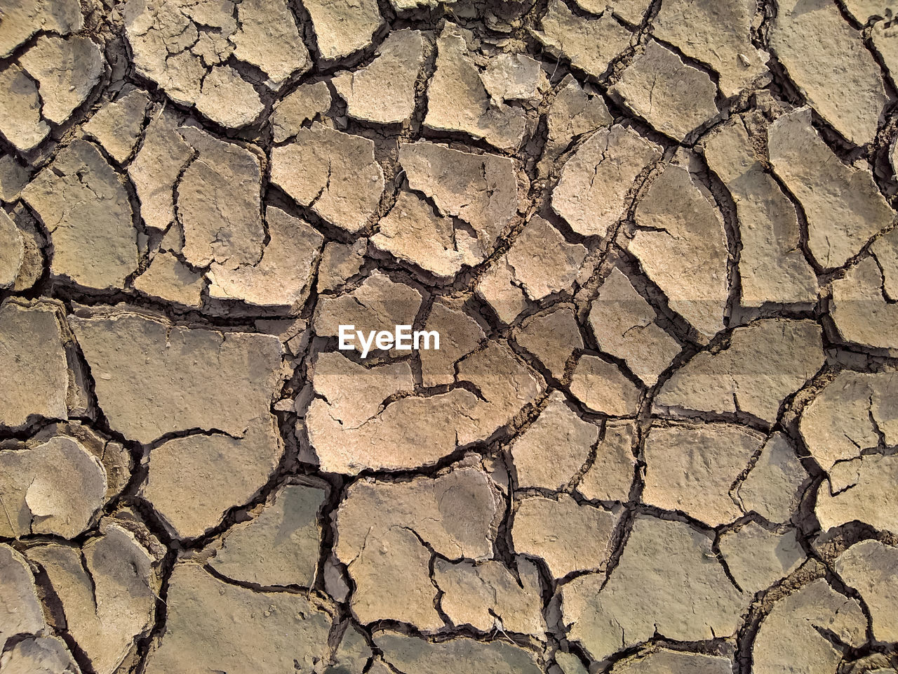 HIGH ANGLE VIEW OF CRACKED FIELD