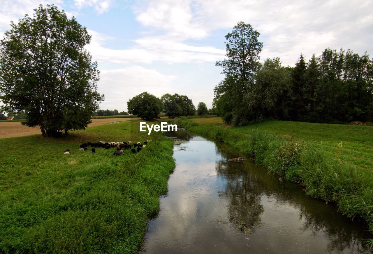 SCENIC VIEW OF GREEN LANDSCAPE AGAINST SKY