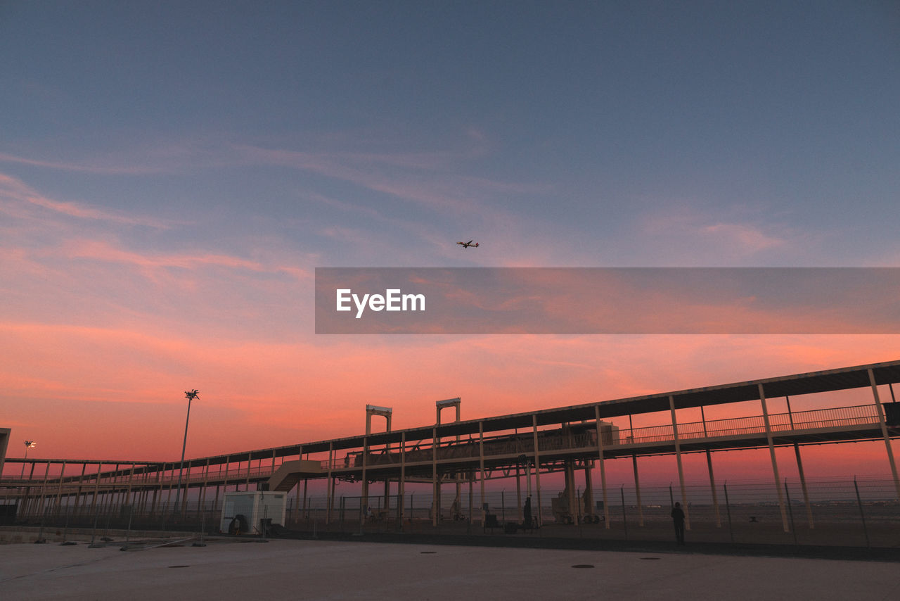 VIEW OF BIRDS AT SUNSET