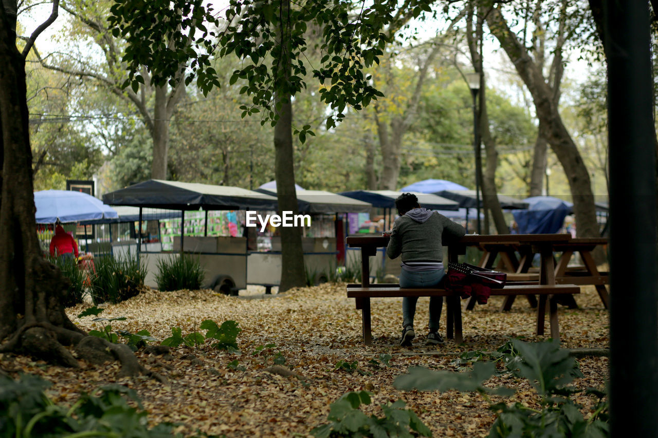 REAR VIEW OF MAN SITTING IN PARK