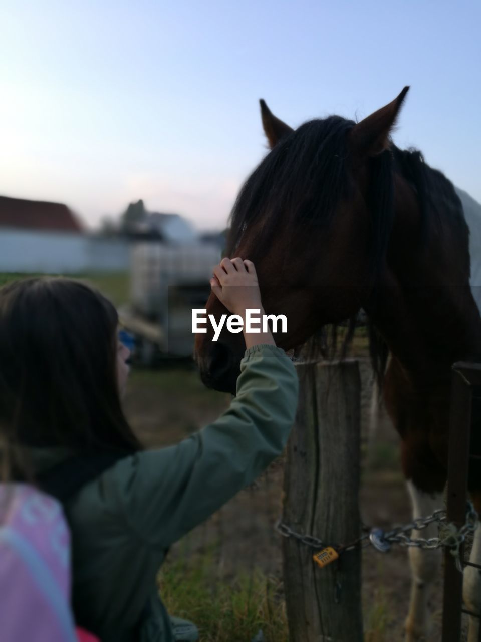 SIDE VIEW OF HORSE IN FARM