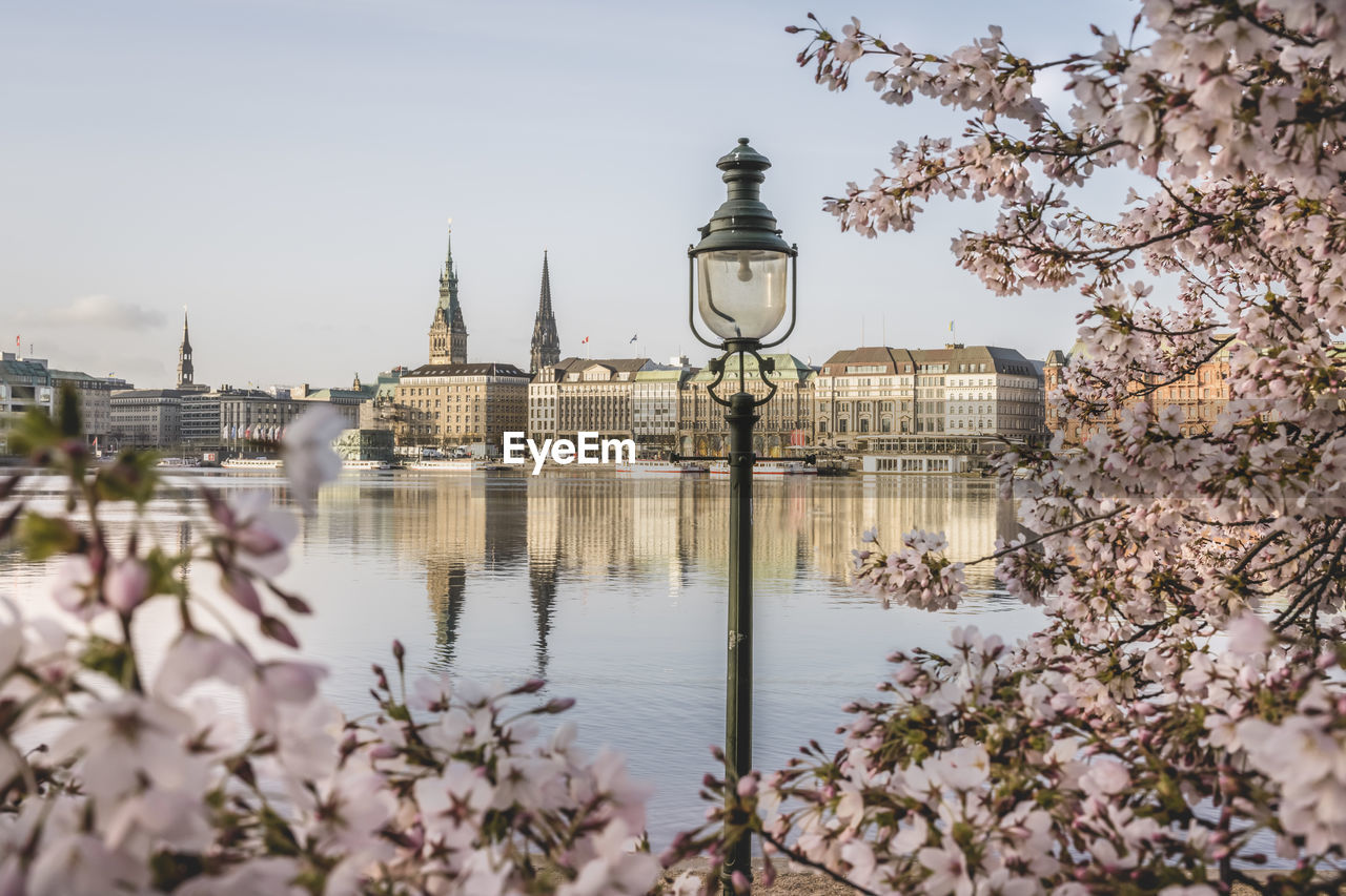 Germany, hamburg, inner alster lake in spring with street light and cherry blossom branches in foreground