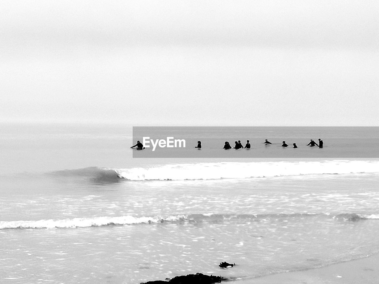 BIRDS FLYING OVER SEA