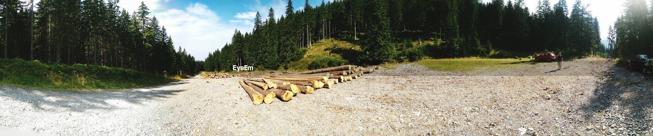 Panoramic view of road amidst trees against sky