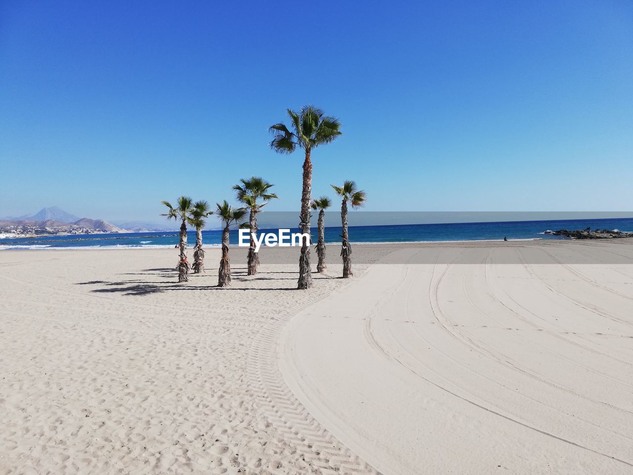 Palm trees on beach against clear blue sky
