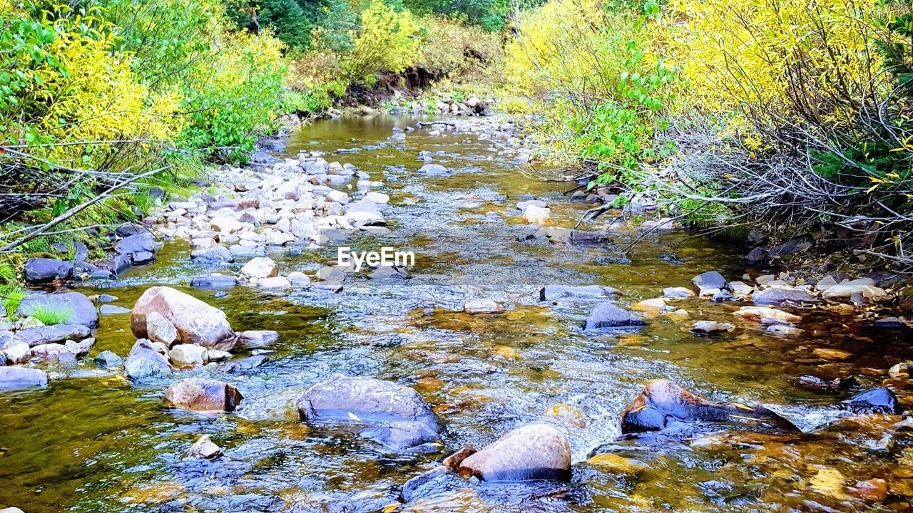 RIVER AMIDST ROCKS IN FOREST