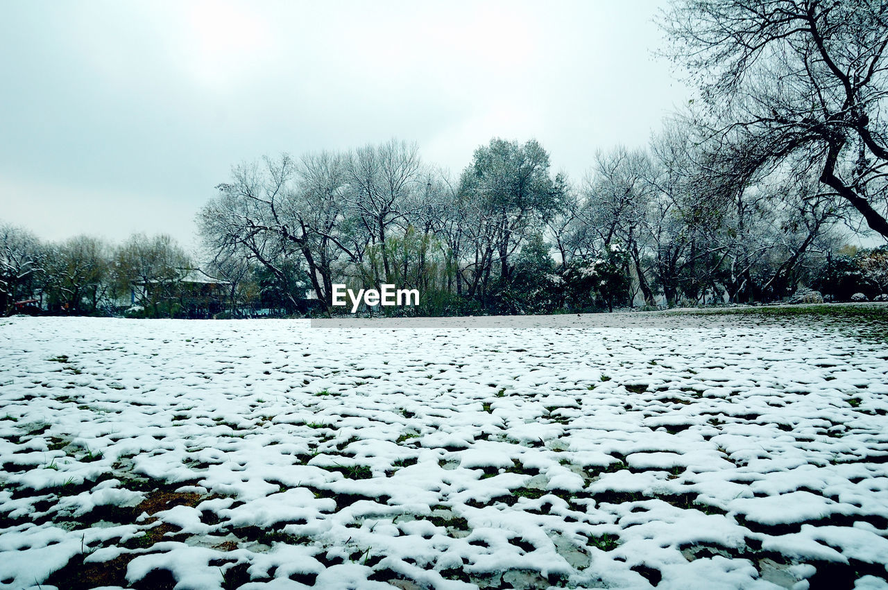 SNOW COVERED FIELD AGAINST SKY