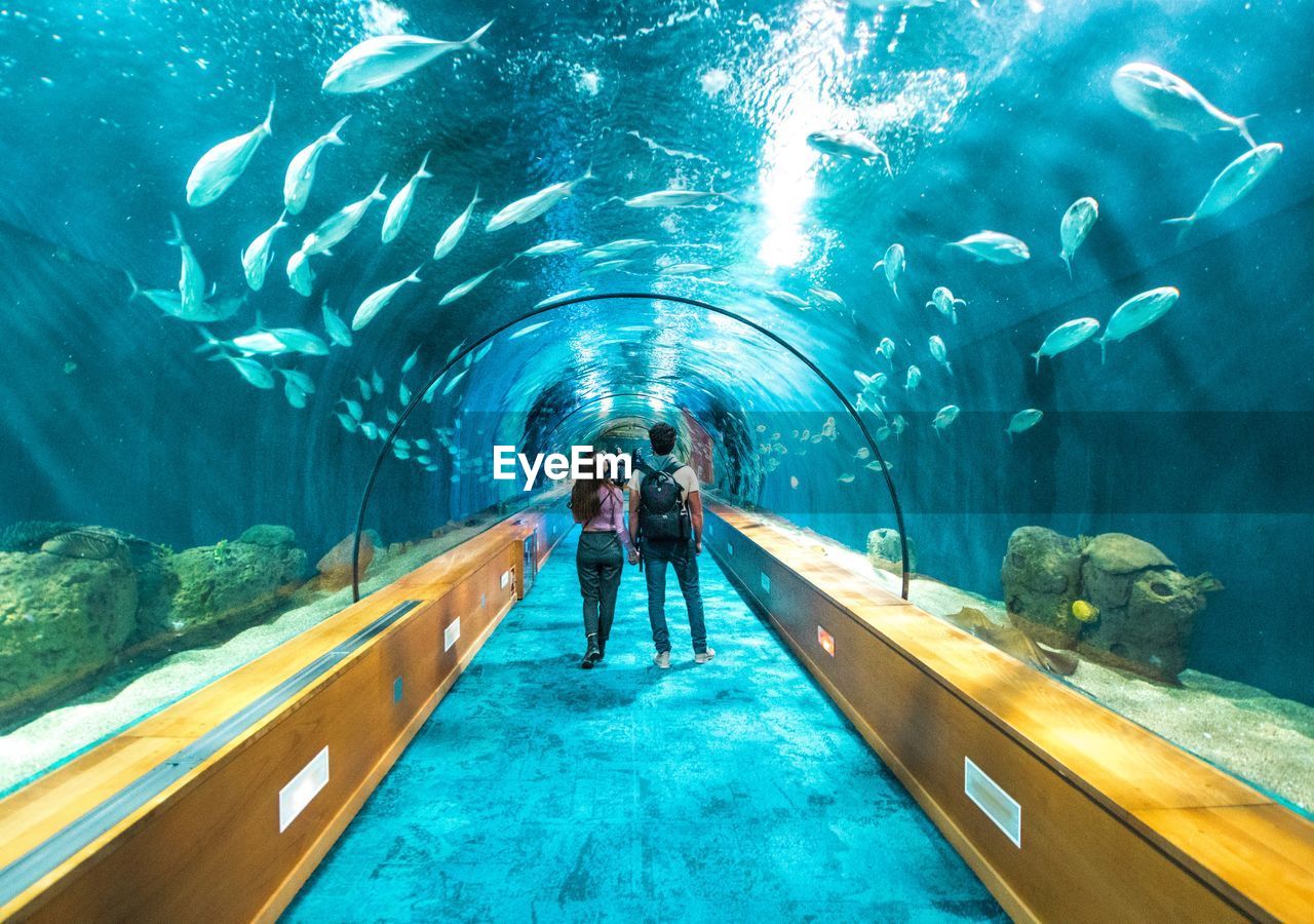 REAR VIEW OF PEOPLE AT AQUARIUM