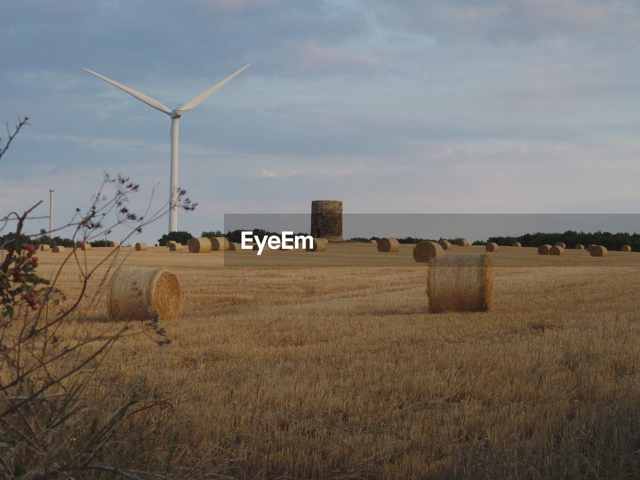 environment, hay, sky, landscape, field, agriculture, wind turbine, bale, land, wind power, environmental conservation, plant, turbine, rural scene, renewable energy, nature, farm, prairie, windmill, power generation, cloud, alternative energy, rural area, plain, beauty in nature, grass, straw, scenics - nature, no people, tranquility, tranquil scene, harvesting, cereal plant, day, crop, grassland, outdoors, technology, wind, tree, non-urban scene, rolled up, meadow, horizon