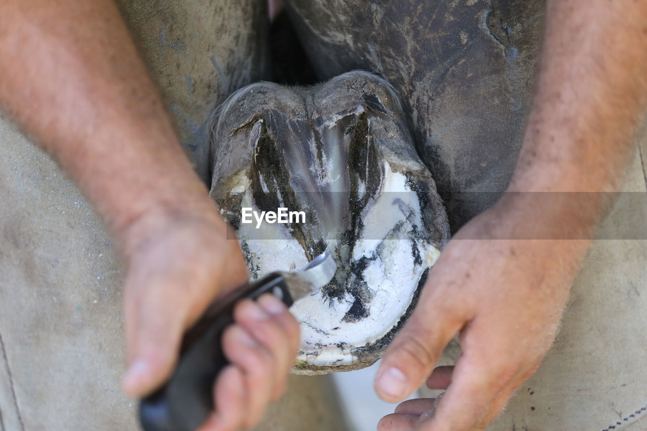 MIDSECTION OF PERSON HOLDING FISH