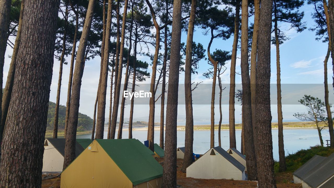 Scenic view of tents in forest against lake