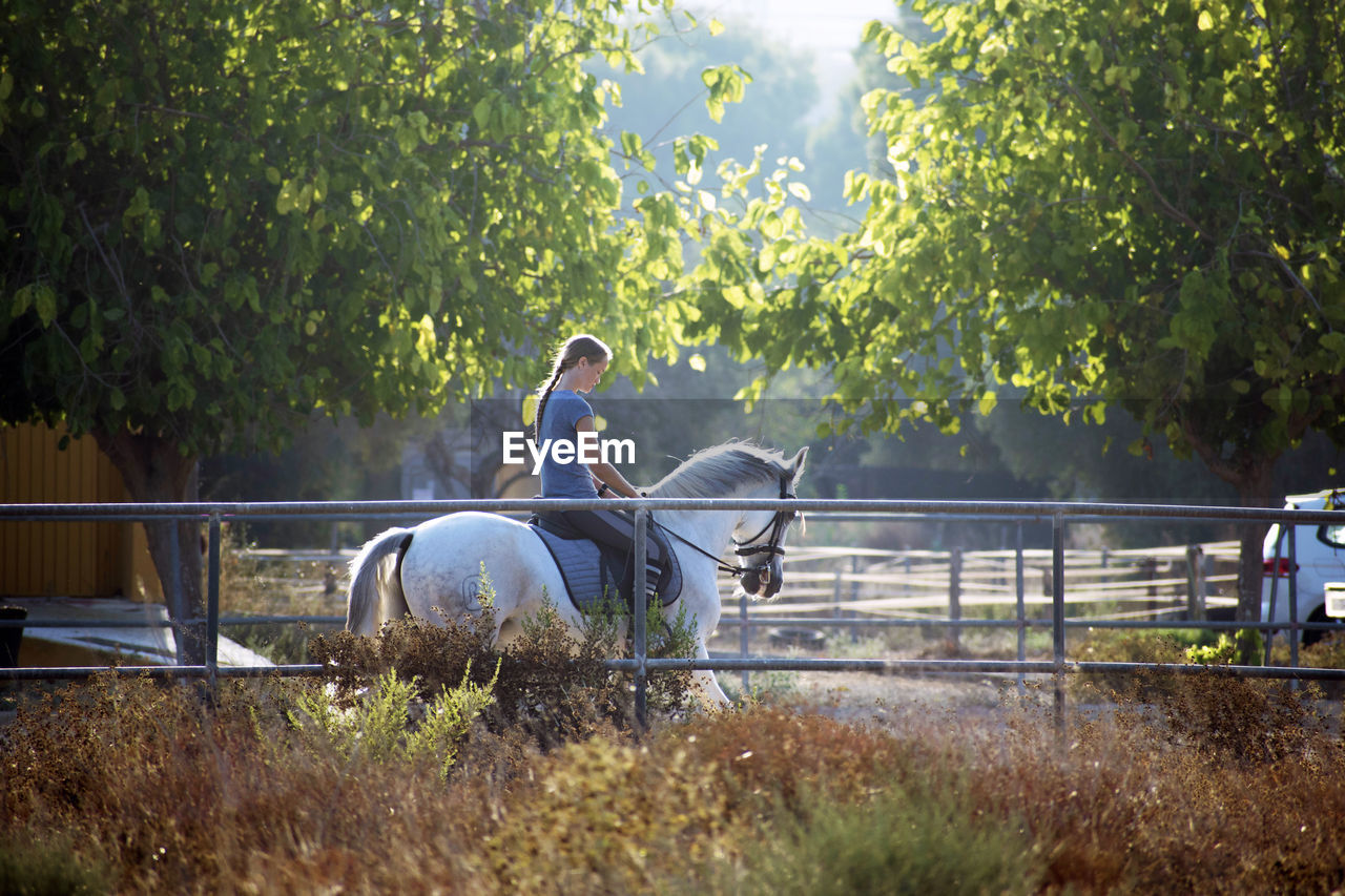 Side view of woman riding horse in ranch