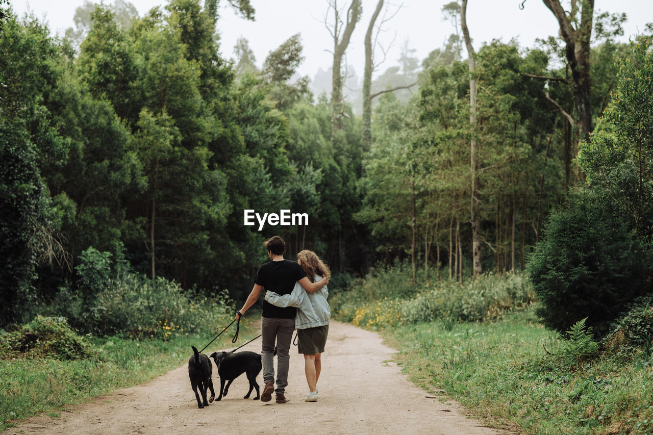 Rear view of couple walking dogs on a leash down a path in the forest